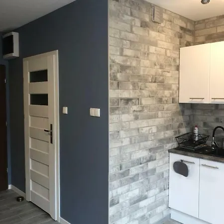 Apartament Gorska Sielanka דירה פולניסה-ז'דוז'